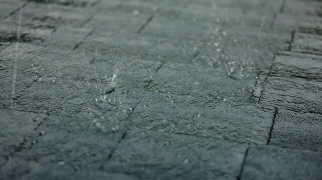Hailstones scattered on a roof with soft bitumen shingles during a heavy rain shower, showing wet surfaces and water flow.