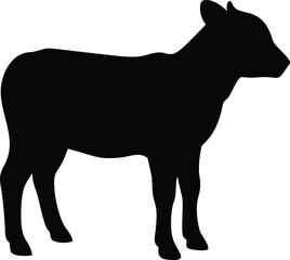 silhouette of a calf 