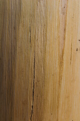 wood texture background