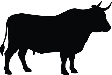 silhouette of a huge bull