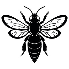bee vector illustration