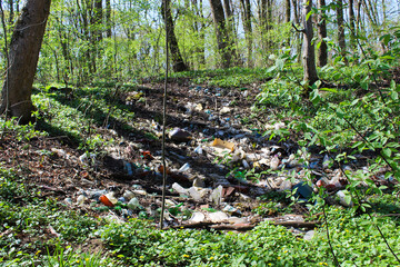 Plastic waste and litter in a forest environment