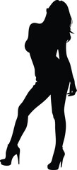 Fototapeta premium silhouette of an attractive woman posing
