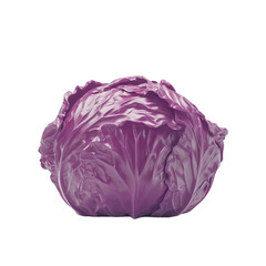 Fototapeta premium A vibrant purple cabbage isolated on white background fresh and healthy vegetable