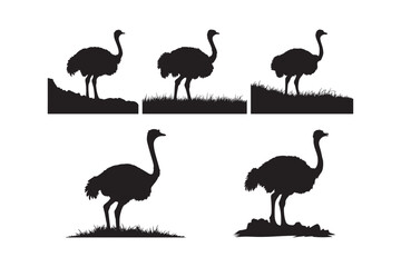 Ostrich Silhouette Vector Set Wild Bird Wildlife Clipart Design