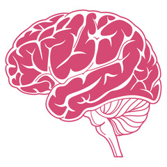 Brain icon pink on white background vector. Adobe Illustrator Artwork
