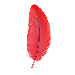 A single vibrant red feather floats gently on a red and white striped background a feeling of lightness and freedom