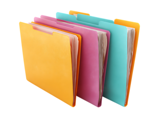 Professional Set of File Folders and Sheets