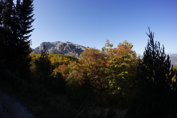 Fall in Montenegro, hiking accursed mountains