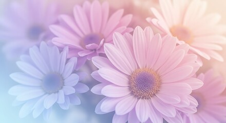 Fototapeta premium Soft Pastel Flowers Background – Romantic Floral Aesthetic 