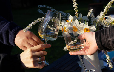 Spring toast, friends clinking white wine glasses, blooming daffodils, spirea flowers, sunset light, outdoor celebration, wine festival, garden party, countryside restaurant atmosphere