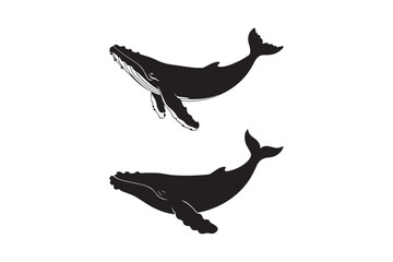 Two Humpback Whale Silhouette Vector