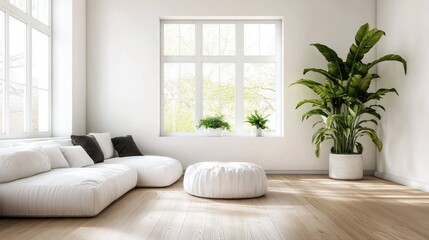 Obraz premium A white-walled living room with hardwood floors and a big green plant.