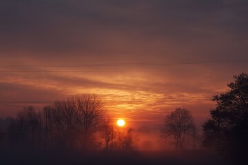 Obraz premium Warm Sunrise Over a Misty Landscape with Silhouetted Trees