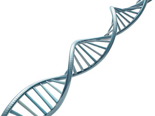 A dna helix on black back isolated on transparent background