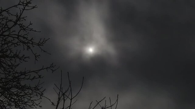 Cloudy night with the moon in the sky above the branches of leafless trees. Moonlight shines through thick clouds at midnight