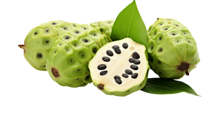 Fresh Noni Fruit Closeup Displaying Vibrant Green Skin and Dark Seeds  A Healthy Tropical Treat