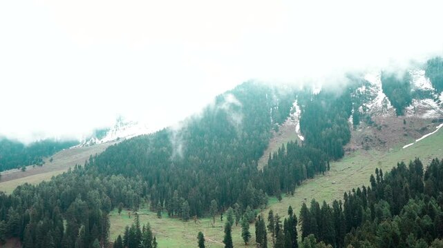 Pahalgam, Kashmir, India - 09 May 2023: Beautiful view of Pahalgam during summer season fresh frozen Himalayas glacier mountains, view of Betab Valley and green fir and pine tree line forest Clip 78