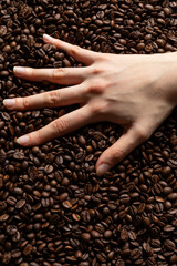 A close-up view of a hand placed on a layer of roasted coffee beans