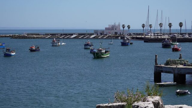 Picturesque Coastal Harbor with Fishing Boats Yachts and Palm Trees