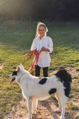 Little smiling girl in white shirt walking with her pet dog outdooors on nature in summer. Yakutian Laika dog breed.