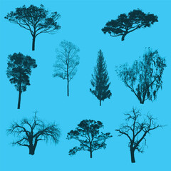 9 pice Tree image.eps