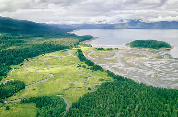 Dense forest on the coast near Juneau. Panoramic top view. Landscape of southern Alaska, USA.