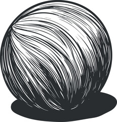 Obraz premium Detailed black and white engraving style illustration of a whole coconut fruit with textured shell