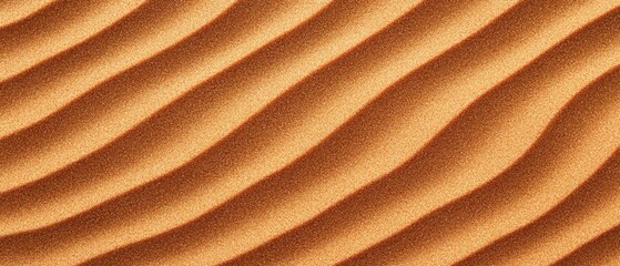 A close-up image of a sandy surface with a pattern of curved lines.
