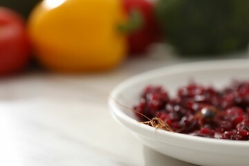 Cockroach crawling on plate with grated red beets on light table, closeup. Space for text