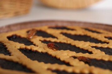Cockroaches crawling on pie in kitchen, selective focus