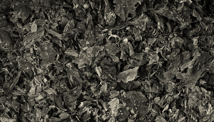 Texture of paper ash as background, top view. Burnt paper, cinder.