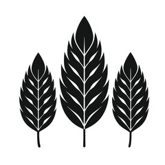 Ash leaf silhouette vector illustration.  leaves isolated on white. black leaves on white background . Collection of black leaf logo, icon vector design.