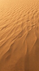 Golden sunlight dances on wind sculpted sand dunes creating elegant waves and patterns in a serene desert landscape