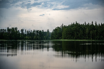 Fototapeta premium reflection of trees in the lake
