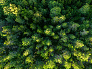 Naklejka premium aerial view of the countryside