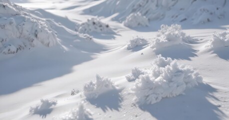 Deep drifts of fluffy snow, showing delicate crystalline structure ,  ,  nature