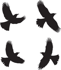 Obraz premium This artwork is digitally enhanced using AI and manually edited for quality. Flying Bird Silhouettes - Set of Four Black Bird Illustrations in Flight.