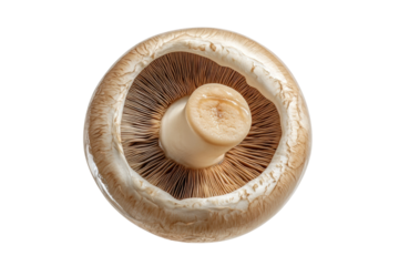PNG Close-up of fresh mushroom cap with visible gills on black background