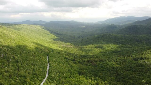 Aerial view of a winding road cutting through the lush green forests of Nature Park Učka in Croatia.