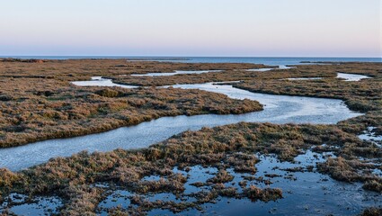 Tranquil coastal marsh at low tide with meandering water channels mirroring gentle dusk light Serene nature scene