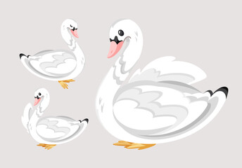 Vector illustration of three cute white swans with yellow feet on a soft background. Perfect for nursery, fairy tale, or nature themes