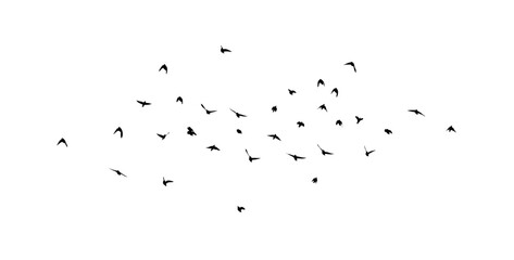 Flying birds silhouette flock. hand drawing. Not AI. Vector illustration.