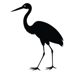 Stork Walking Vector Silhouette on White Background