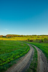 Obraz premium Beautiful landscape photography in the field sunny summer day in the forest , landscape and nature in the Ukraine .Road in the woodladns , summer lands 