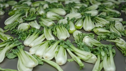 Freshly harvested leeks arranged in bundles on a conveyor belt transitioning from white to green gradients Agricultural processing concept