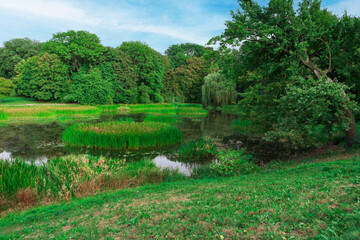 Tranquil city park with lush trees, serene pond, ideal for relaxation and picnics with loved ones