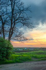 Landscape photography with beautiful sunset over the field , ukrainian nature , field and trees.Road in the forest , yellow sunset , road in the village . Green grass and leaves 
