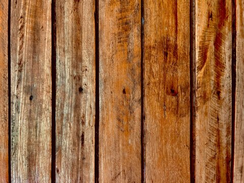 tamarind wood abstract background in absolute brown