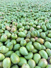 abstract background of a fruit called mango